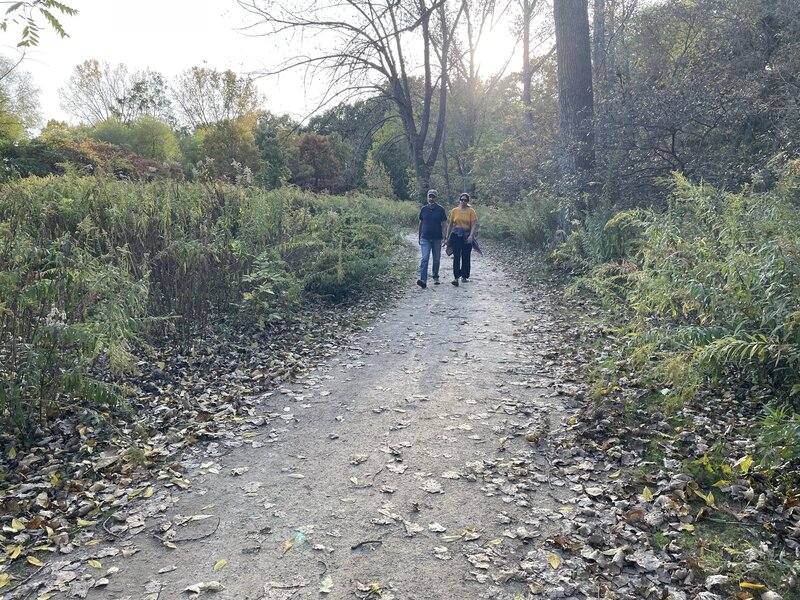 A picture of Luistania Meadow.