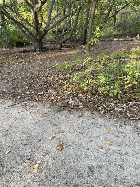 A treehouse beside the trail.