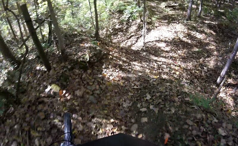 Into the creek bed.
