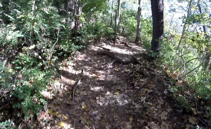 Uphill from the creek bed.