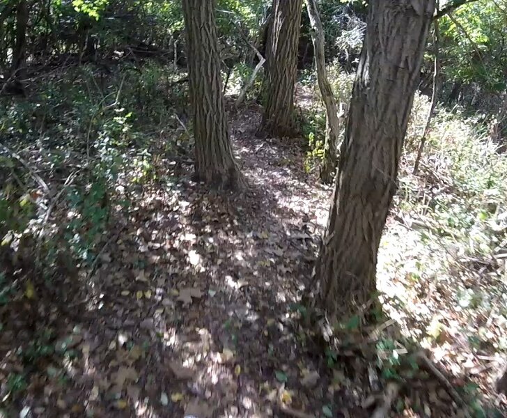 Weaving through tress