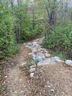 Cool rock garden.