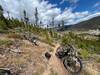 Going up the trail on Ophir Mountain.