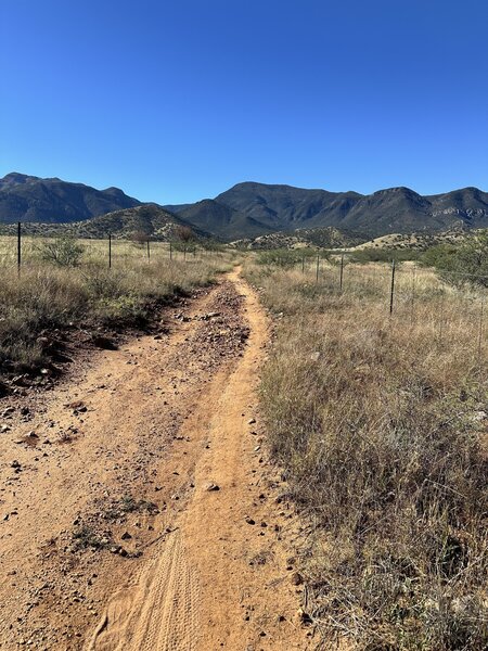 Getting ready to ride up the trail.