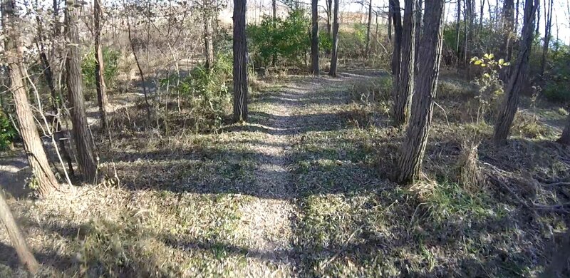 In the switchbacks.