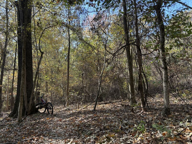 Voyager Trail
