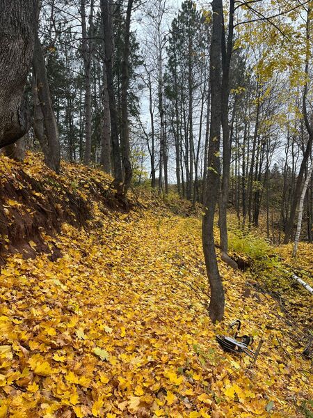 Trail with autumn leaves.