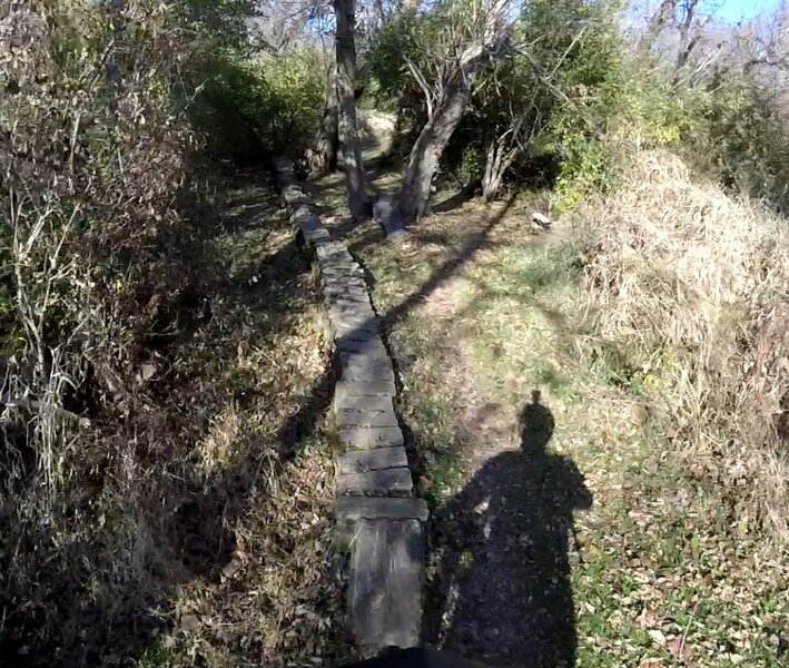 Balance feature. That's a jump between the trees.
