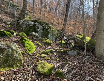 Very green moss and rocky section.