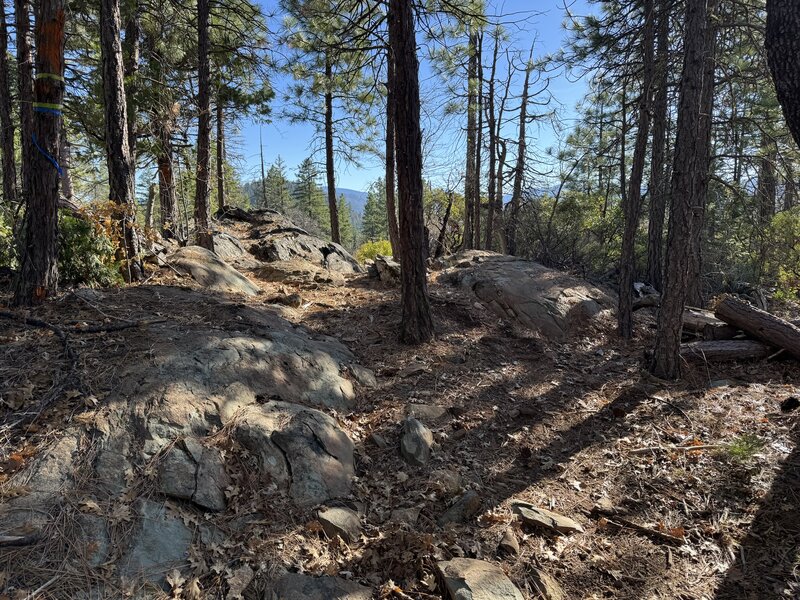 Rock feature