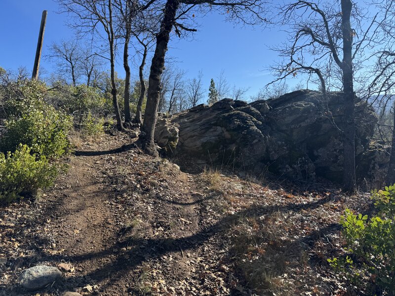 Rock feature