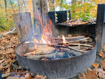 Fire rings are provided. You'll be responsible for gathering dead wood; no cutting down trees. Bring a good portable saw.