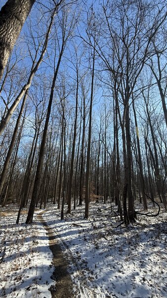 trail in December 2025