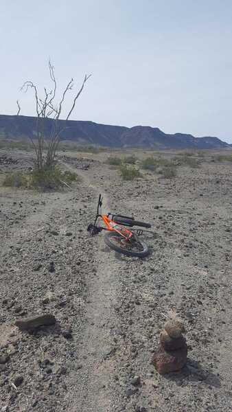 Start of Pi Trail