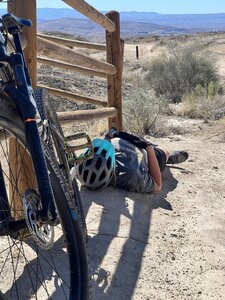 Taking a quick break in the "shade"