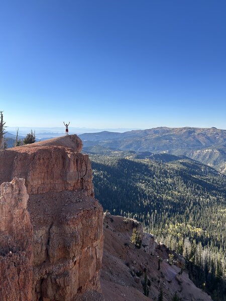 Sweet Views!