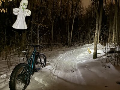 Biking in the snow