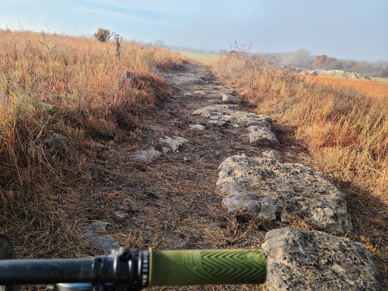 As the trail starts...