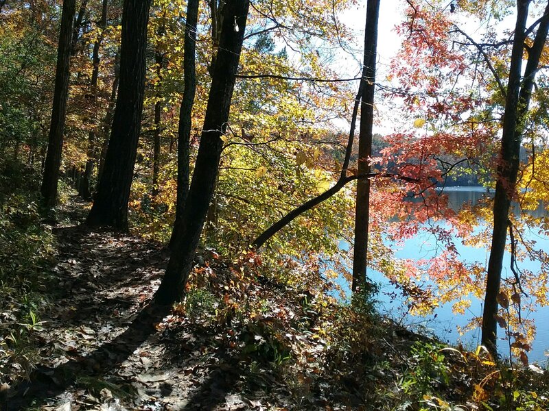 The Lake Trail- Fall Colors