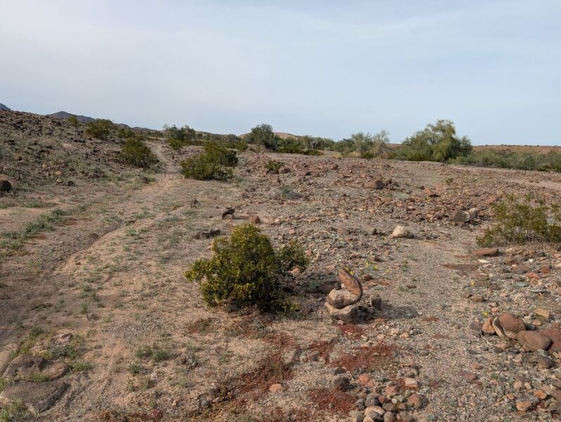 Bonzai Marvin Intersection