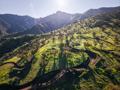 Litre Trail in Parque Guay Guay