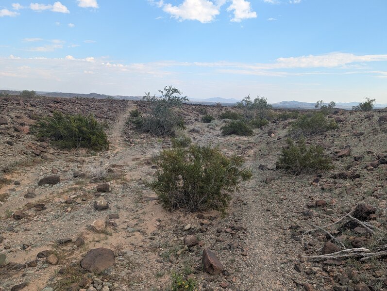 Start of Brain Wash Trail.