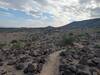 Brain rock field
