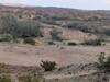 Going west down into large wash
