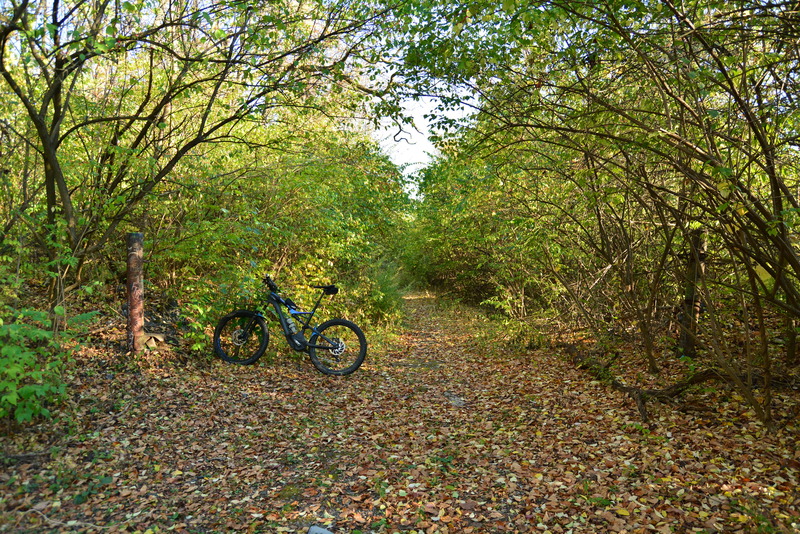 Schoenberger Entrance / Metal Post