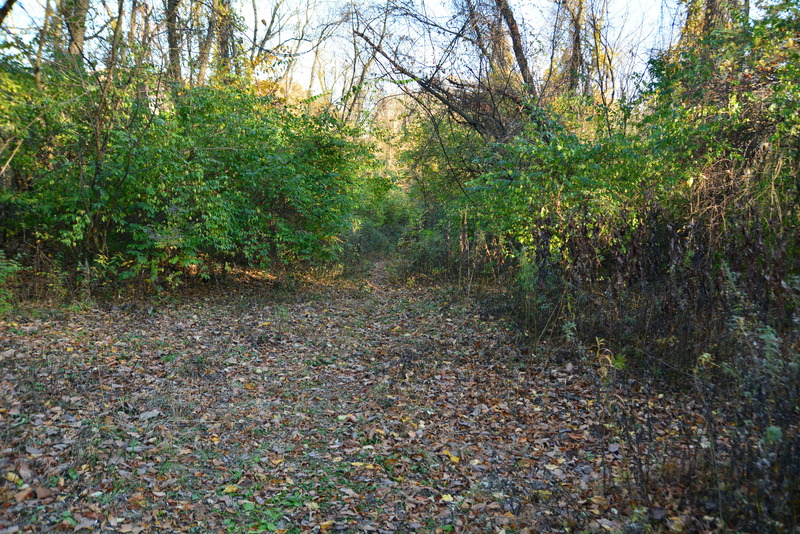 Skills Course Entrance