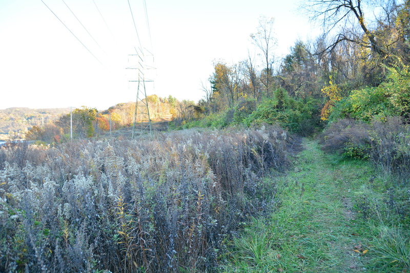 Agnew Road overlook Glenwood Bridge.