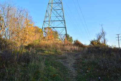 Powerline