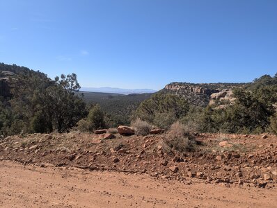 Juniper and pinion pine forest atop Smith Mesa.