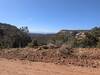 Juniper and pinion pine forest atop Smith Mesa.