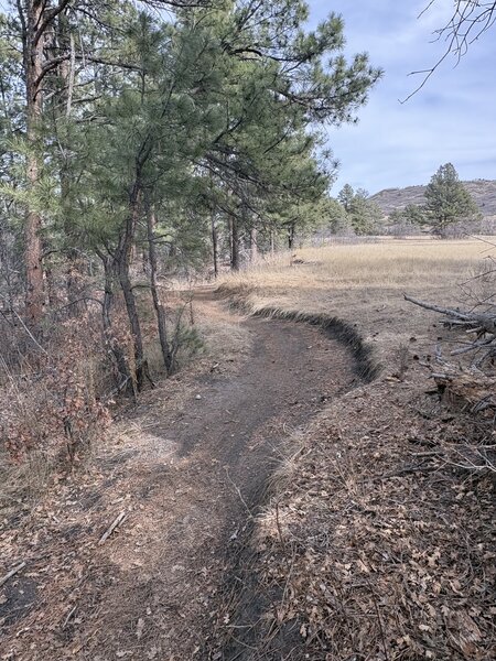 Bottom of the descent.