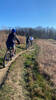 Grasshopper Loop