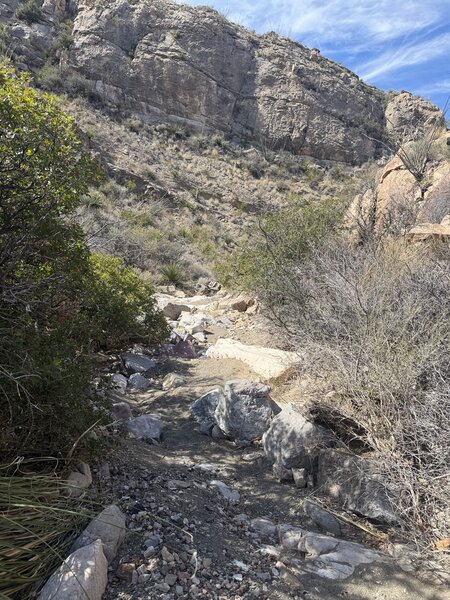 More stream bed