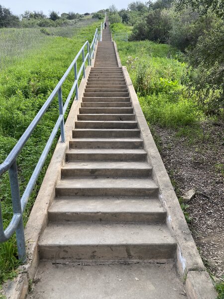 The famous Calabasas Stairs.