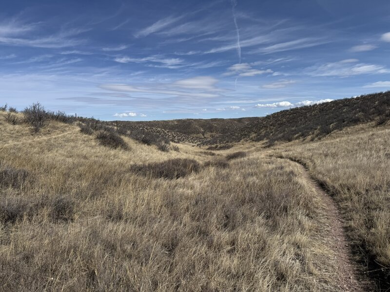 Trail conditions: singletrack gravel.