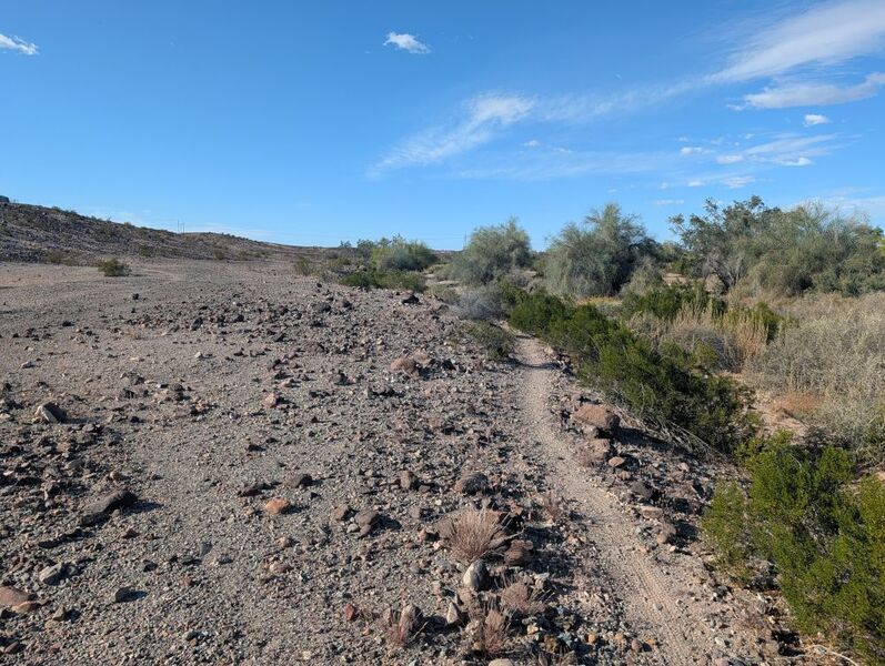 Along Center Wash
