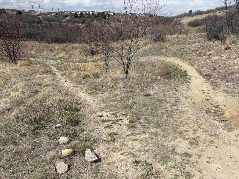 A fork in the trail.