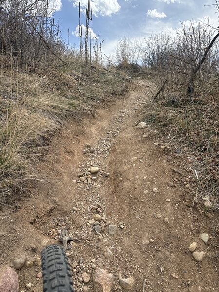 Steepness