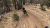 Hot berms on Cougar Trail
