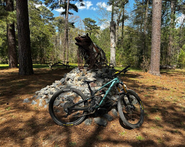 Pine Camp Bear Statue