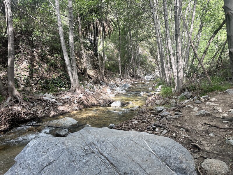 One of many water crossings.