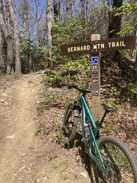 Upper end of Trail at the start.