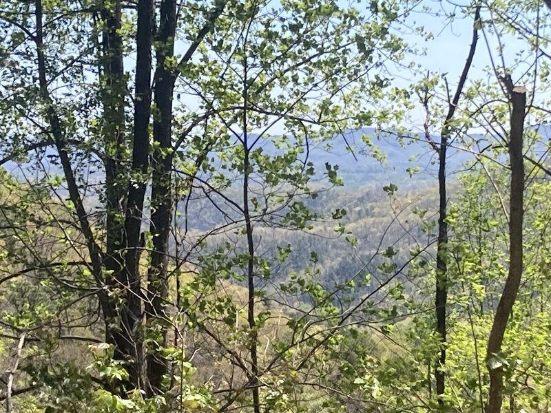 View towards Old Fort