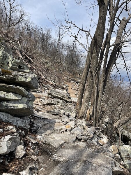 Some of the rocky trail: Livin' on the Edge.