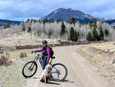 Good gravel road in open forest.