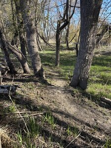 Tight turn on west side singletrack.